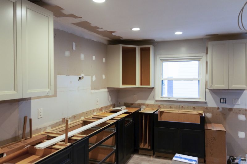 Professional Kitchen Renovation